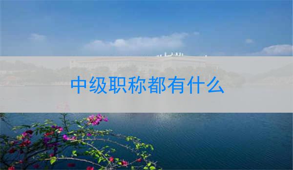 中级职称都有什么
