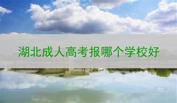 湖北成人高考报哪个学校好