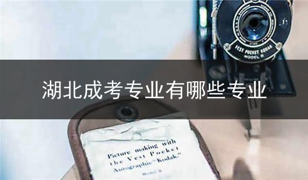 湖北成考专业有哪些专业
