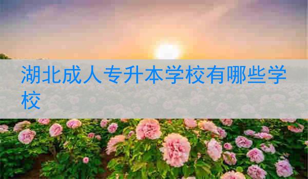 湖北成人专升本学校有哪些学校