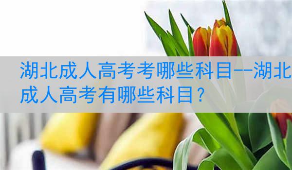 湖北成人高考考哪些科目--湖北成人高考有哪些科目？