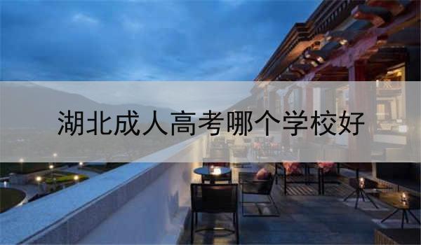 湖北成人高考哪个学校好