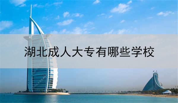 湖北成人大专有哪些学校