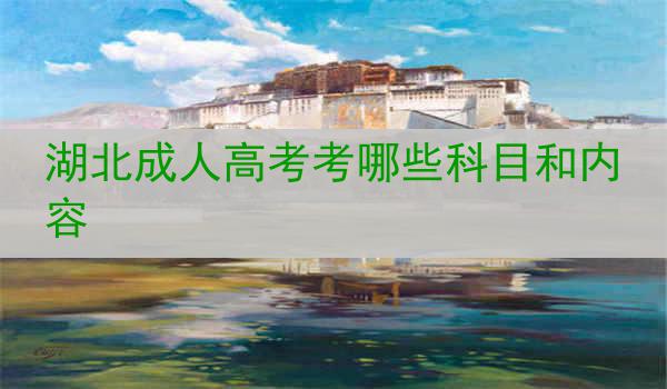 湖北成人高考考哪些科目和内容
