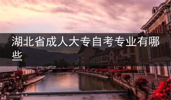 湖北省成人大专自考专业有哪些
