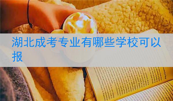 湖北成考专业有哪些学校可以报
