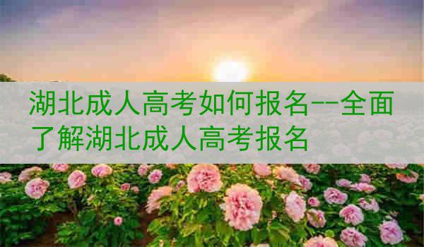 湖北成人高考如何报名--全面了解湖北成人高考报名