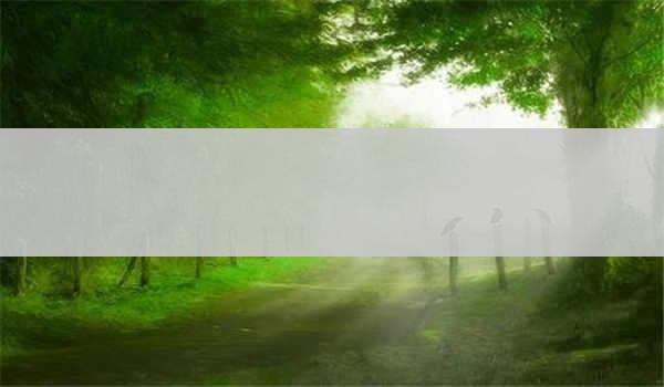 湖北成考招生学校有哪些学校可以报--湖北成考招生学校有哪些学校可以报