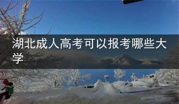 湖北成人高考可以报考哪些大学