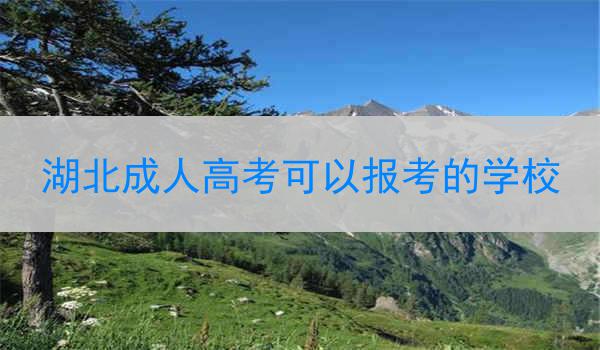 湖北成人高考可以报考的学校