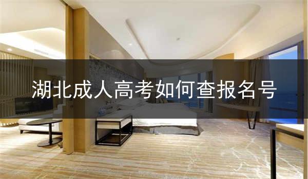湖北成人高考如何查报名号
