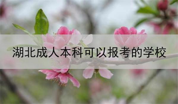 湖北成人本科可以报考的学校