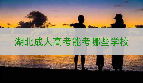 湖北成人高考能考哪些学校