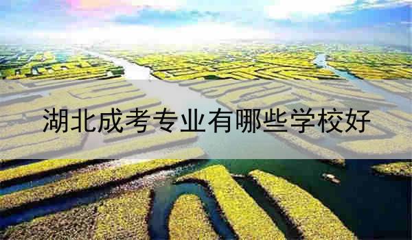 湖北成考专业有哪些学校好