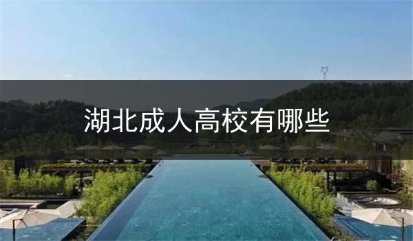湖北成人高校有哪些
