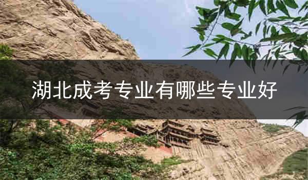 湖北成考专业有哪些专业好