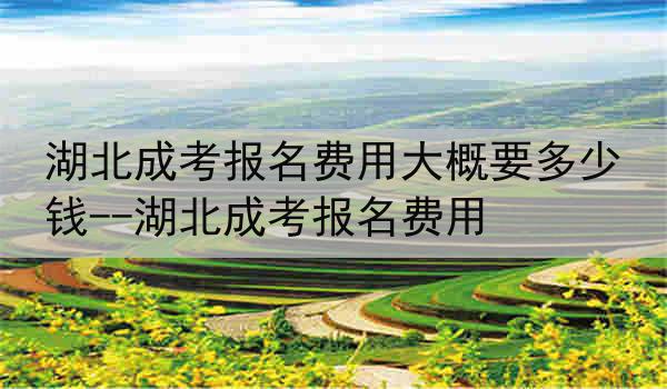 湖北成考报名费用大概要多少钱--湖北成考报名费用