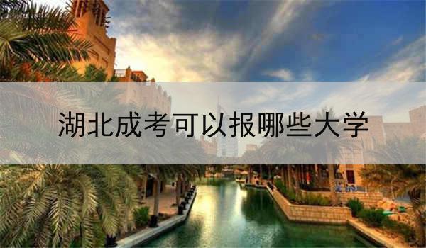 湖北成考可以报哪些大学