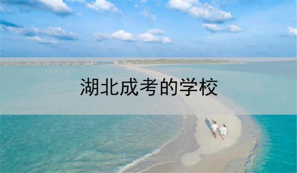 湖北成考的学校