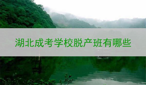 湖北成考学校脱产班有哪些