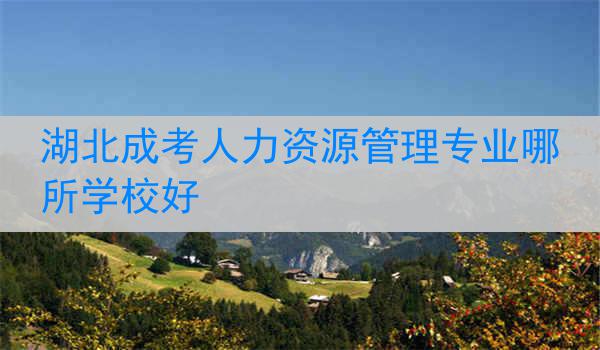 湖北成考人力资源管理专业哪所学校好