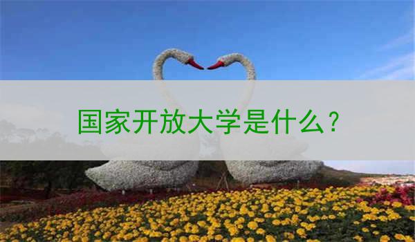 国家开放大学是什么？