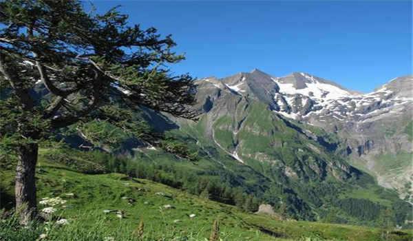 国家开放大学为什么很多人报考？