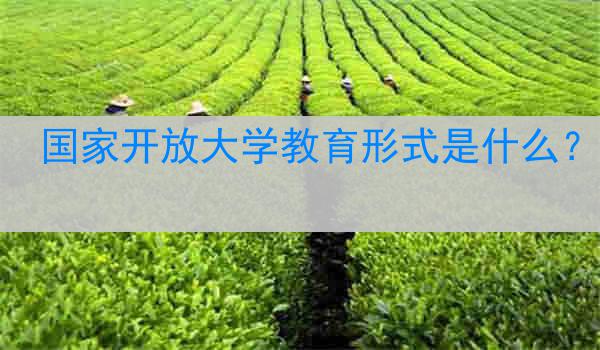 国家开放大学教育形式是什么？