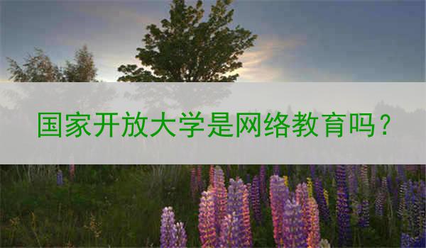 国家开放大学是网络教育吗？