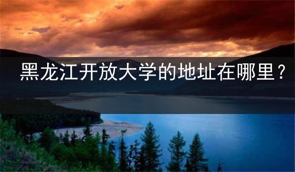黑龙江开放大学的地址在哪里？