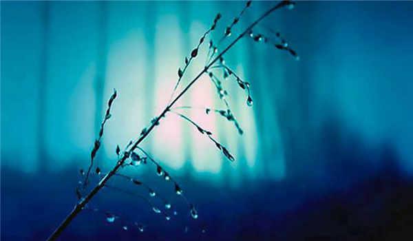 国家开放大学毕业证的含金量怎么样？