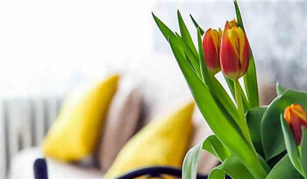 国家开放大学如何去报中专呢？