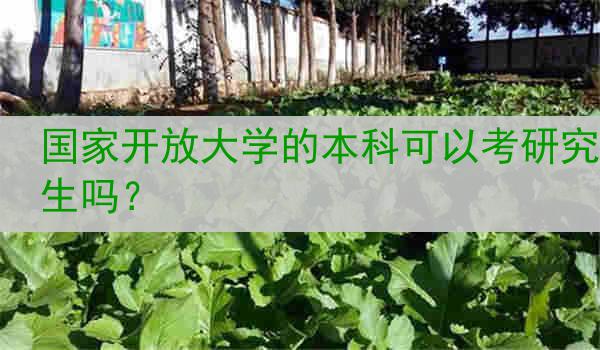 国家开放大学的本科可以考研究生吗？