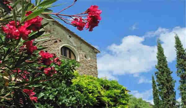 国家开放大学什么是国民教育序列？