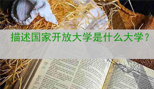 描述国家开放大学是什么大学？