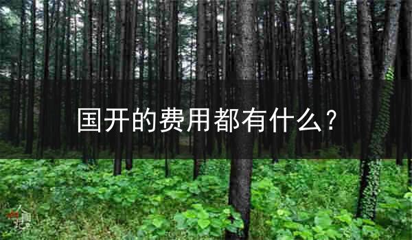 国开的费用都有什么?