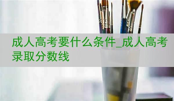 成人高考要什么条件_成人高考录取分数线