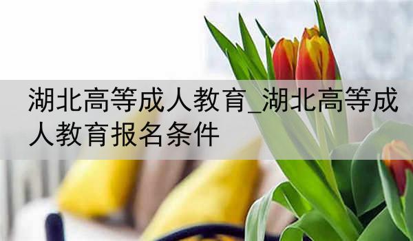 湖北高等成人教育_湖北高等成人教育报名条件