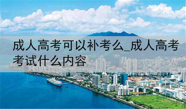 成人高考可以补考么_成人高考考试什么内容