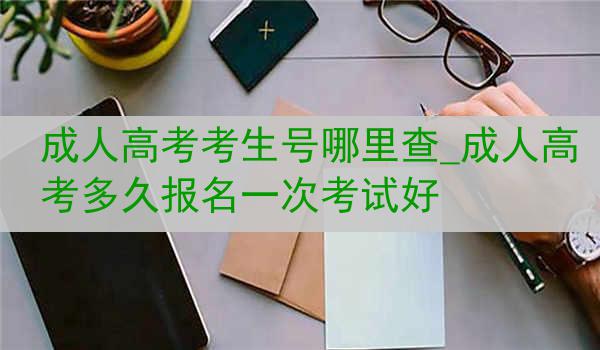 成人高考考生号哪里查_成人高考多久报名一次考试好
