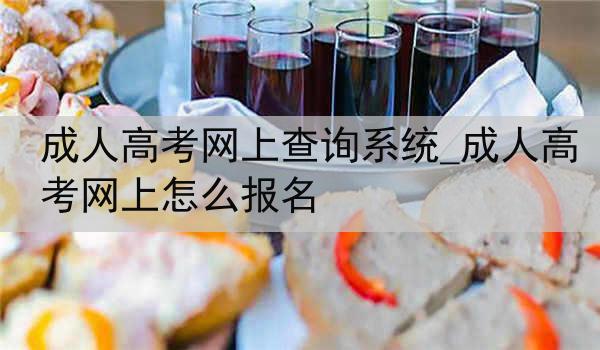 成人高考网上查询系统_成人高考网上怎么报名