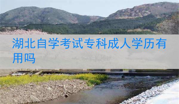 湖北自学考试专科成人学历有用吗