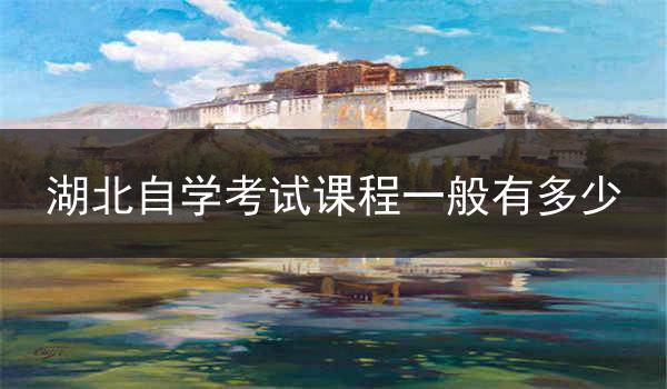 湖北自学考试课程一般有多少