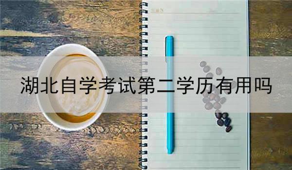 湖北自学考试第二学历有用吗