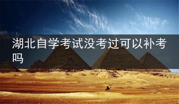 湖北自学考试没考过可以补考吗