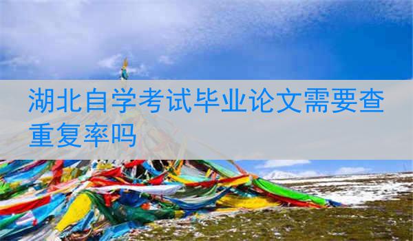 湖北自学考试毕业论文需要查重复率吗