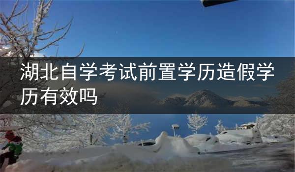 湖北自学考试前置学历造假学历有效吗