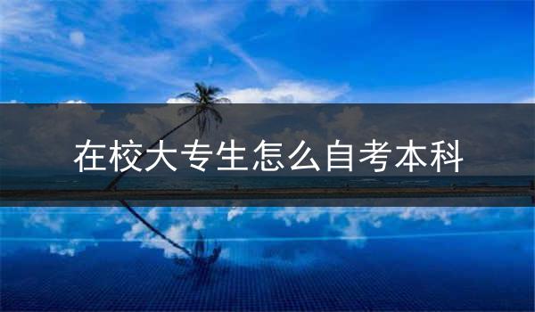 在校大专生怎么自考本科