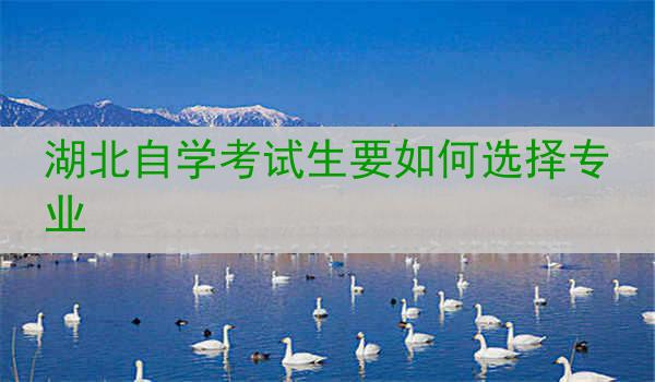 湖北自学考试生要如何选择专业