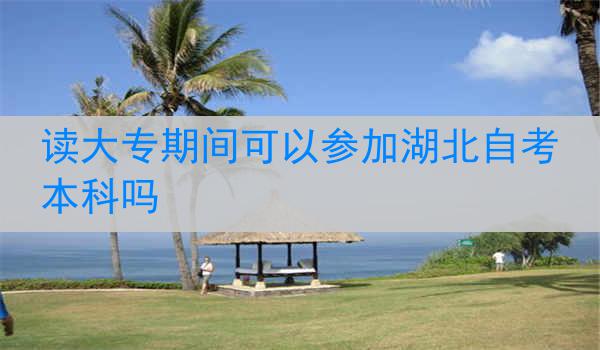读大专期间可以参加湖北自考本科吗